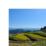 S風の森 Launch Edition オリジナル酒器 限定カード付