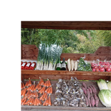 風の森 BBQ大会と花火酒笊籬採りセット 1名様参加