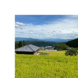 風の森未来予想酒Ⅰ真中採り/ 橘花KIKKA GIN 時つ風